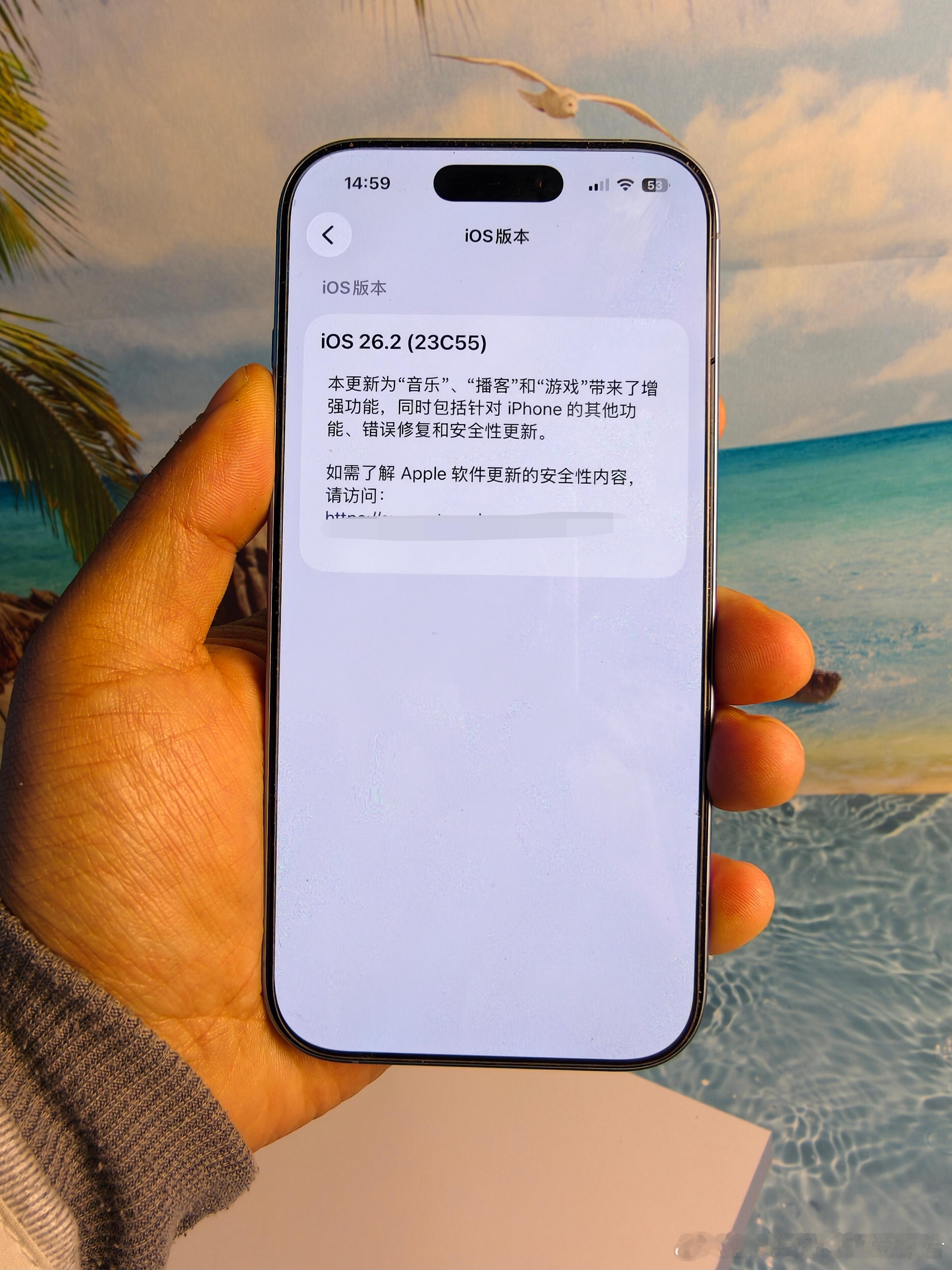 升级iOS26.2正式版后，之前遇到的部分问题已经修复，稍后会录制一段视频给大