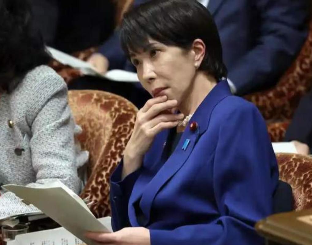 中国这招稀土管制，到底把日本逼到了什么份上？当高市早苗政府宣布要在2026年夏天