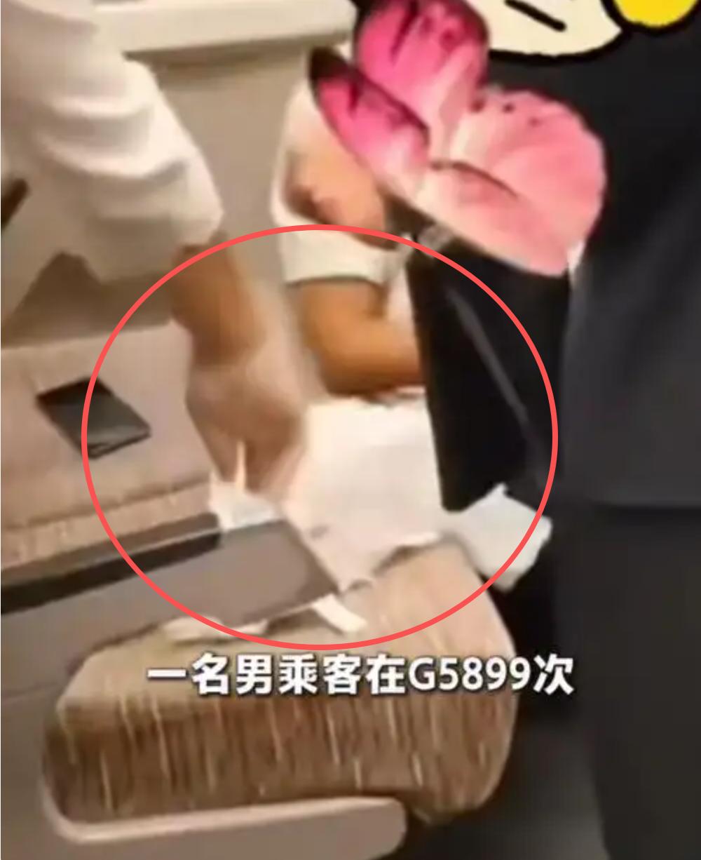 想骂人了，真是啥人都有。见过在火车车厢呕吐的，还是头一次见在车厢座椅上大便的