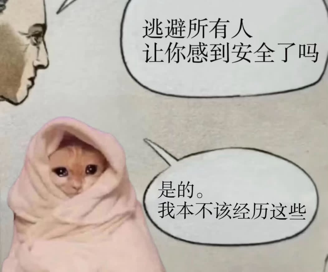 这根本就是我：meme