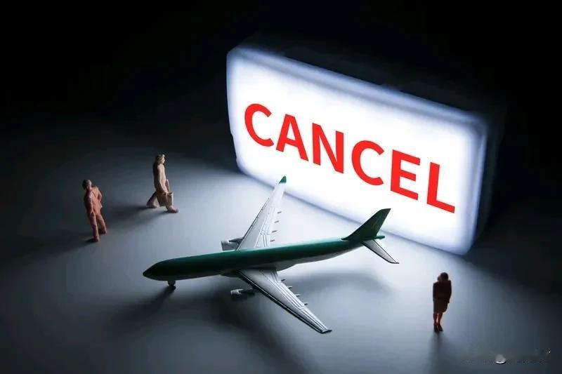 中日航班取消释放的运力飞向了何方中日航班取消释放的运力去向何方近期，中日航班