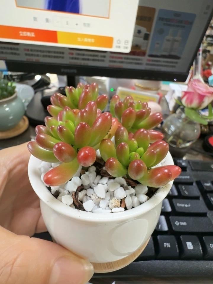 反诈骗就得玩真的！1.泰国边境冲突中顺带端了柬埔寨电诈园区，2.美军方还组队跨