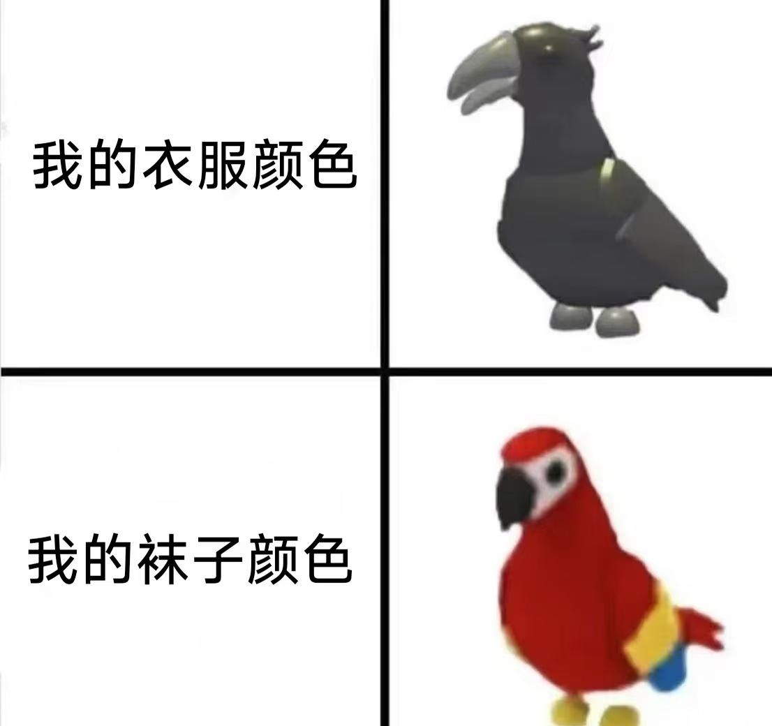每日梗图​​​