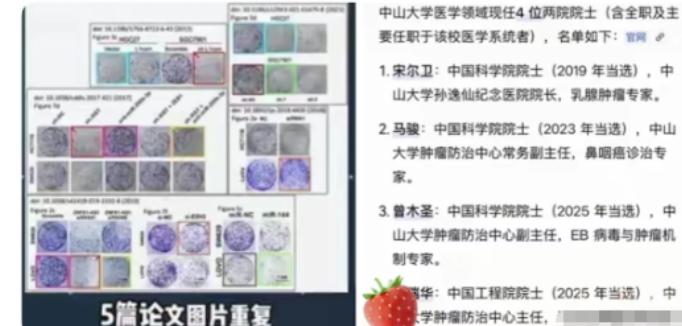 简直胆大包天！耿同学这回实打实地把学术界的天捅了个大窟窿！就在7月14日，他毫不