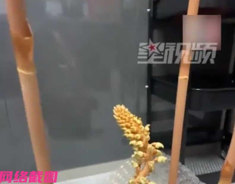 浙江舟山某女子这日拿了天麻的快递就放在厨房里，后竟然忘记自己所购天麻一事，当女子