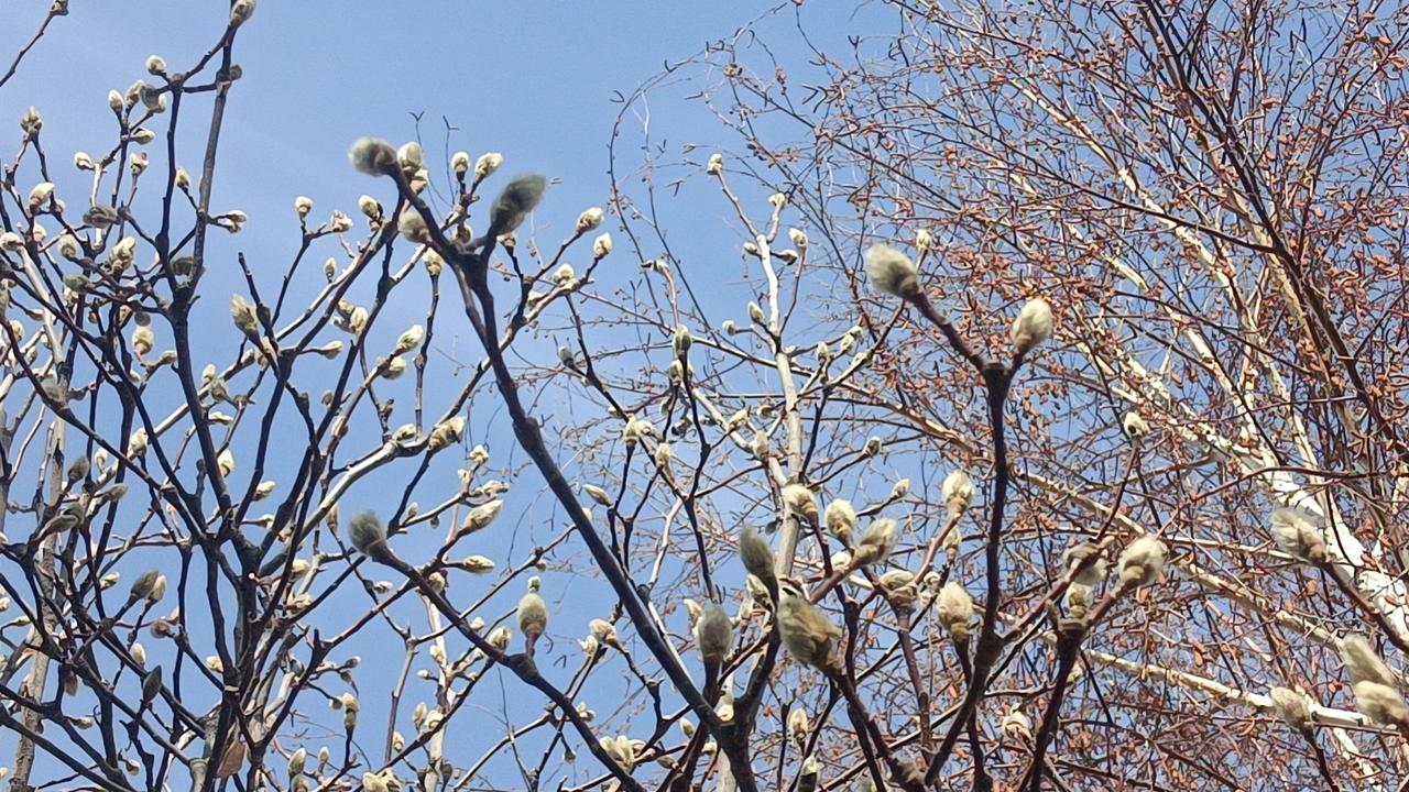 支持六零七零的人按工龄退休，可以设置为工龄35年或60岁，两者任意达到一项就可以