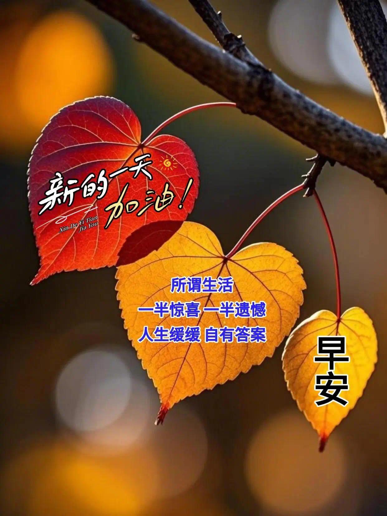 人，要学会旺自己第一，不穿的衣服及时清理，减衣增福。第二，家中米缸常满，象征