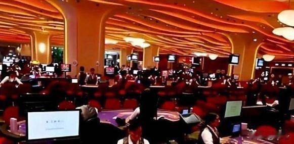 澳门赌场的“幸运”陷阱：一场精心策划的认知围猎深圳的电子厂老板陈志明第一