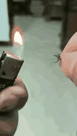 蚊子：完了，这个人不讲道理的呀。