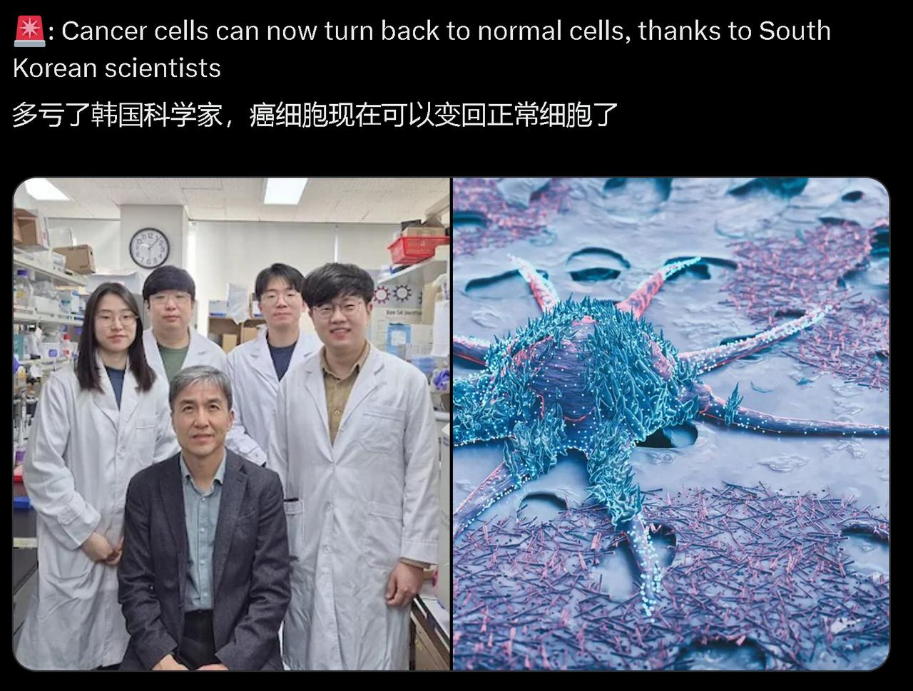 韩国赵光贤（Kwang-HyunCho）团队使得癌细胞的恶性表型被明显压制，同