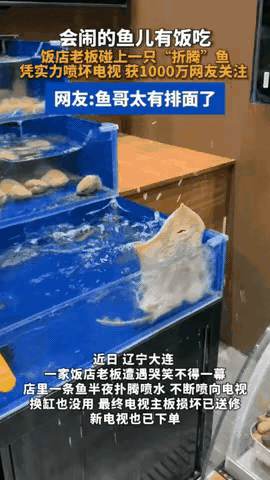谁都想不到，大连饭店一条鱼，硬生生救了自己一命辽宁大连一家餐馆，闹出一桩稀罕趣