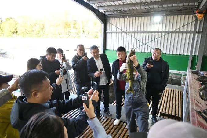 让日本不老实，中方这次给高市早苗好看，代表团登上南千岛群岛中国这次真给高市早