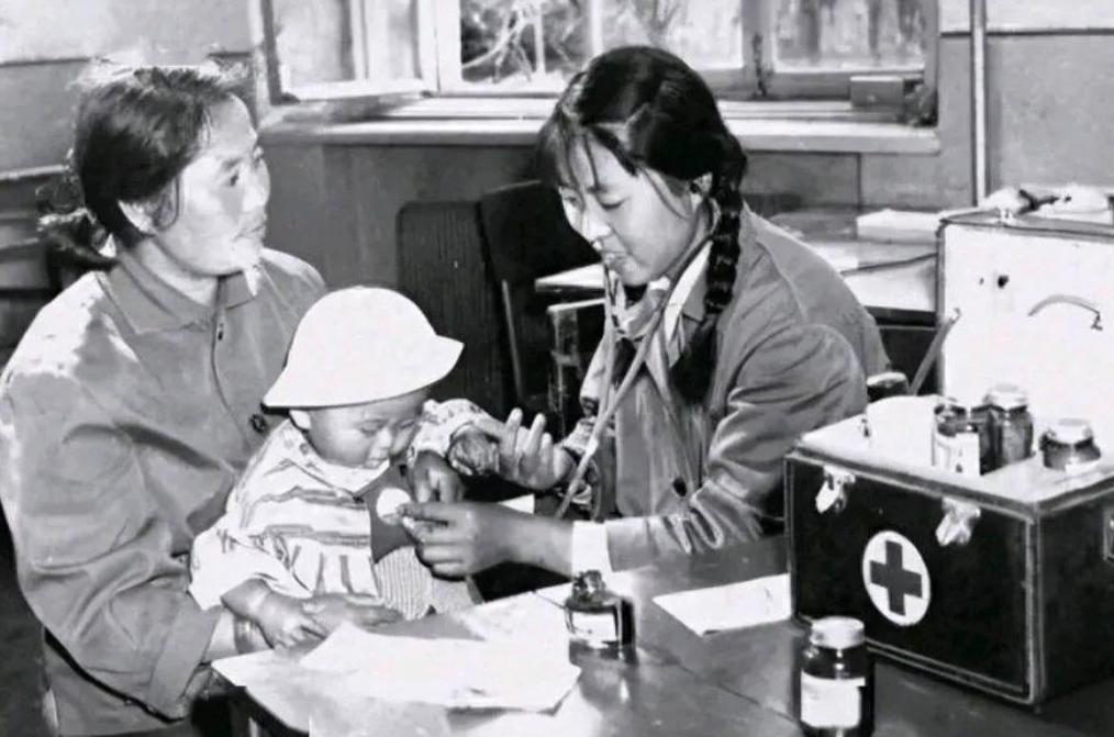 1952年，苏联援助了我国 20克极为珍贵的蛔蒿种子，它们被分为4份，在