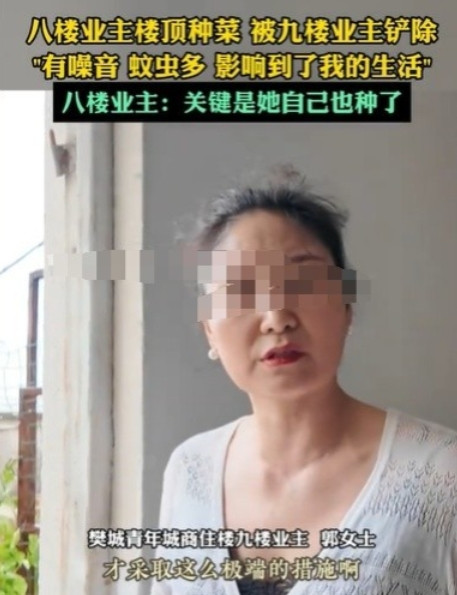湖北襄阳，8楼的男子在楼顶种菜，9楼的女子看不过去，就把菜全部铲走了，男子找女子