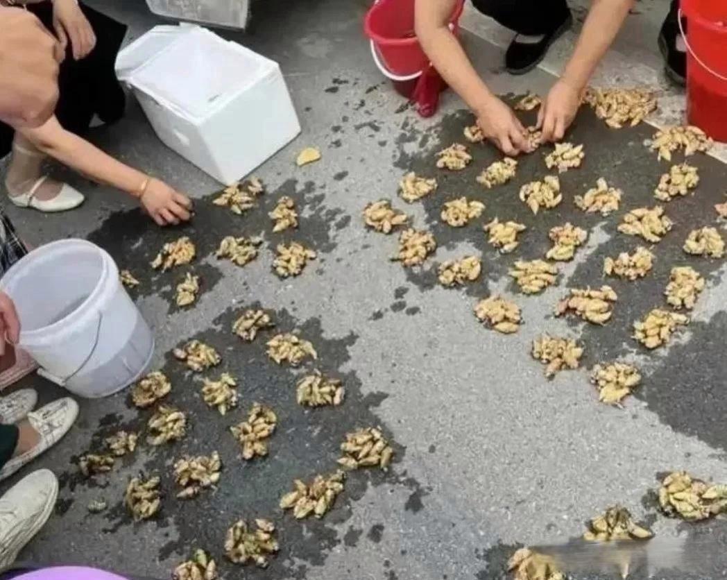 懒得出来，实力很雄厚嘛