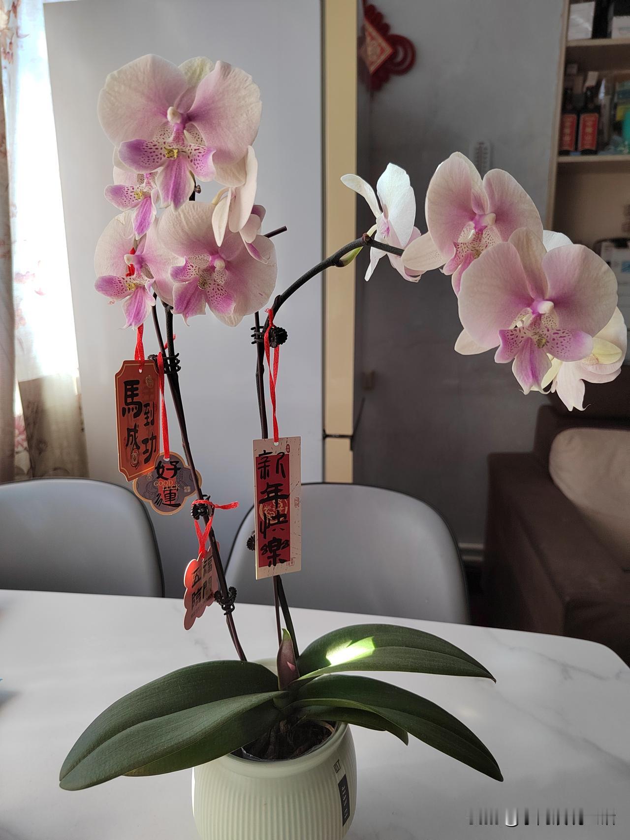人老了去养老院，只是其中一种选择。我发现，现在去养老院的越来越多了。原因有三