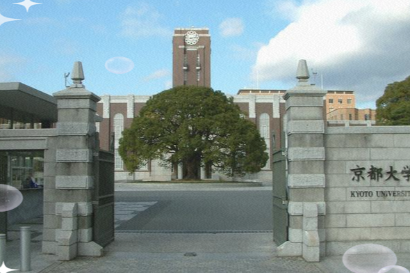 韩国一共有390所大学，其中四年制大学250所，专科院校140所日本大学本科
