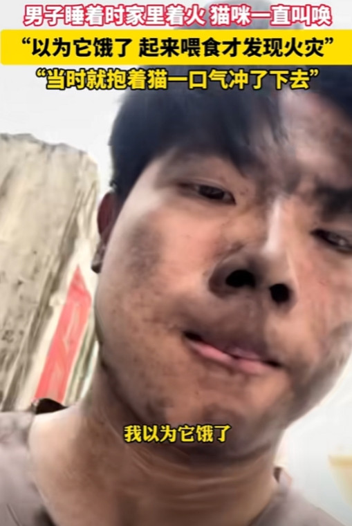 成精了！”广东，一男子正在家里睡觉，旁边的猫竟然叫声不断，便十分不耐烦地去拿