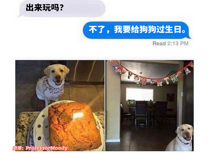 非常棒的决定！(๑´ㅂ`๑)meme​​​