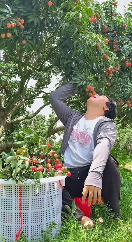 其实，我们每个人都知道，全进华能够成为有几百万粉丝的大网红，跟他是全红婵的亲哥哥