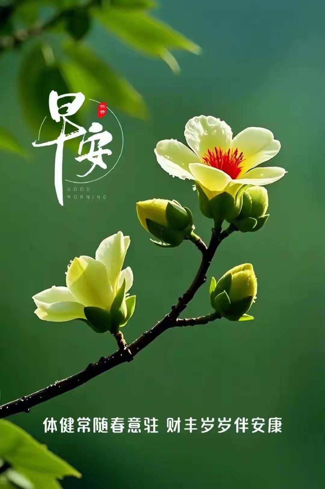 早安呀～冬晨的风裹着细雪擦过窗沿，可别慌——你看那杯刚沏的热红茶正吐白汽，