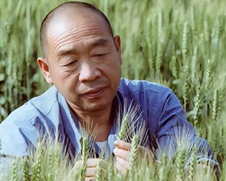 史来贺（1930年7月25日-2003年4月23日），男，河南新乡人，河南省新乡