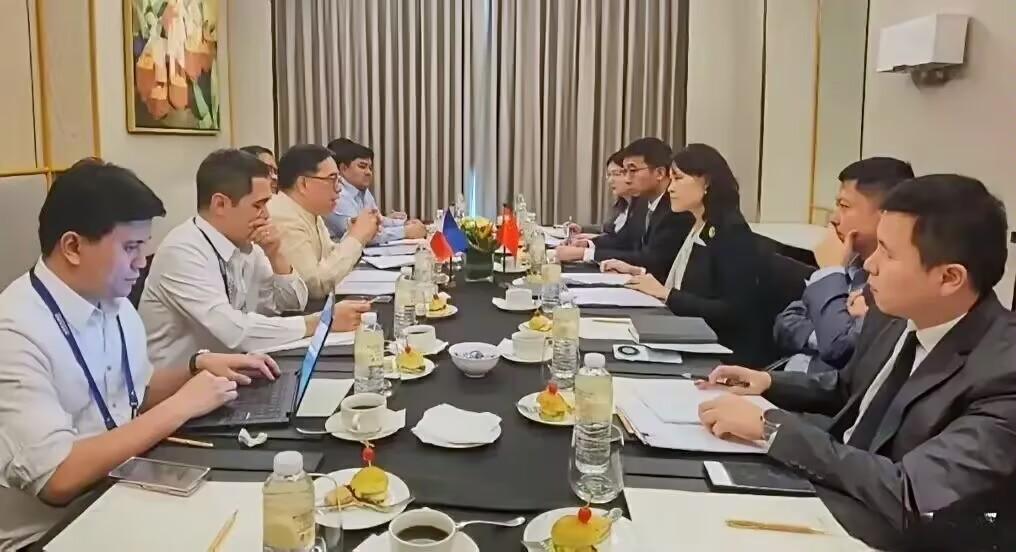 3月28日，菲律宾派人赴华谈判，要求中方助其度过能源危机！菲律宾这次是真急了。副