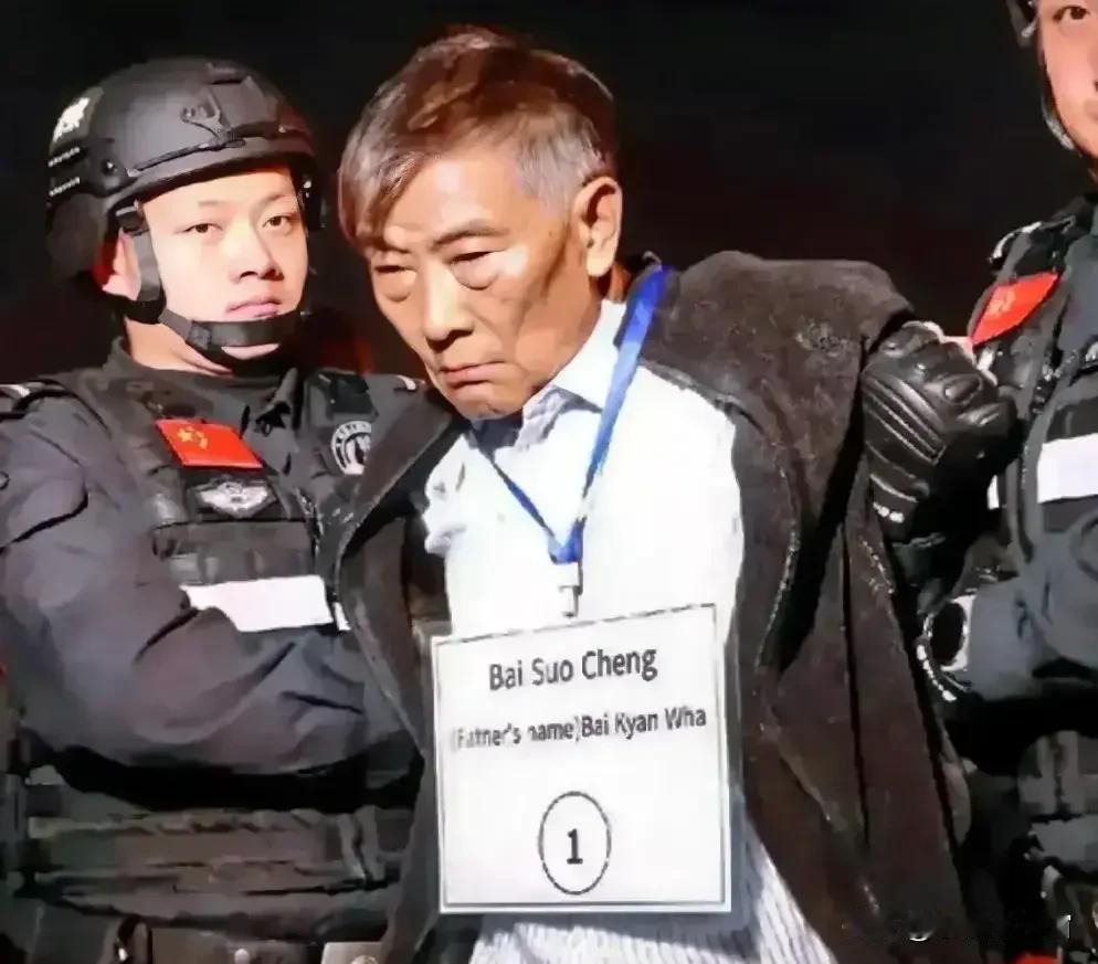 白所成到死都是很不服的!原因就是白所成自认自己缅北地区的一方军阀，曾经也是指