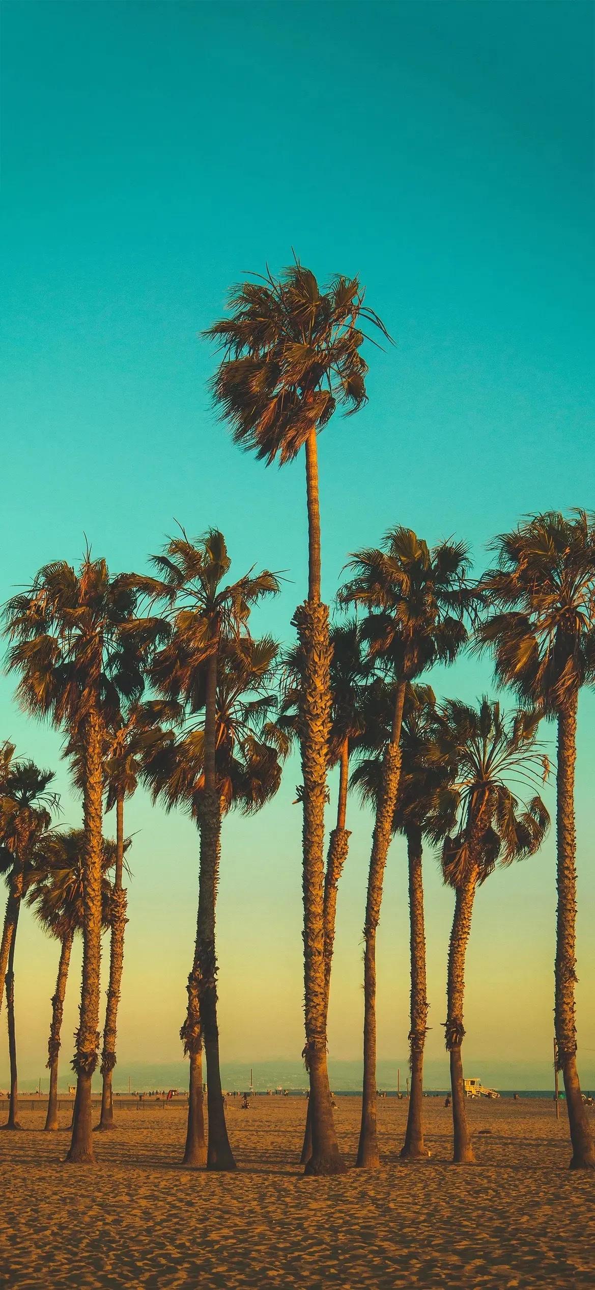 在中原武林，有一座神秘且威名远扬的山庄——玄霄山庄。庄主慕容云，剑术超凡，为人正