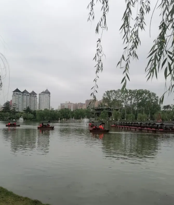 专科孩子的报志愿马上要开始，专科给孩子选什么专业将来好就业呢？按照下面四个方向来
