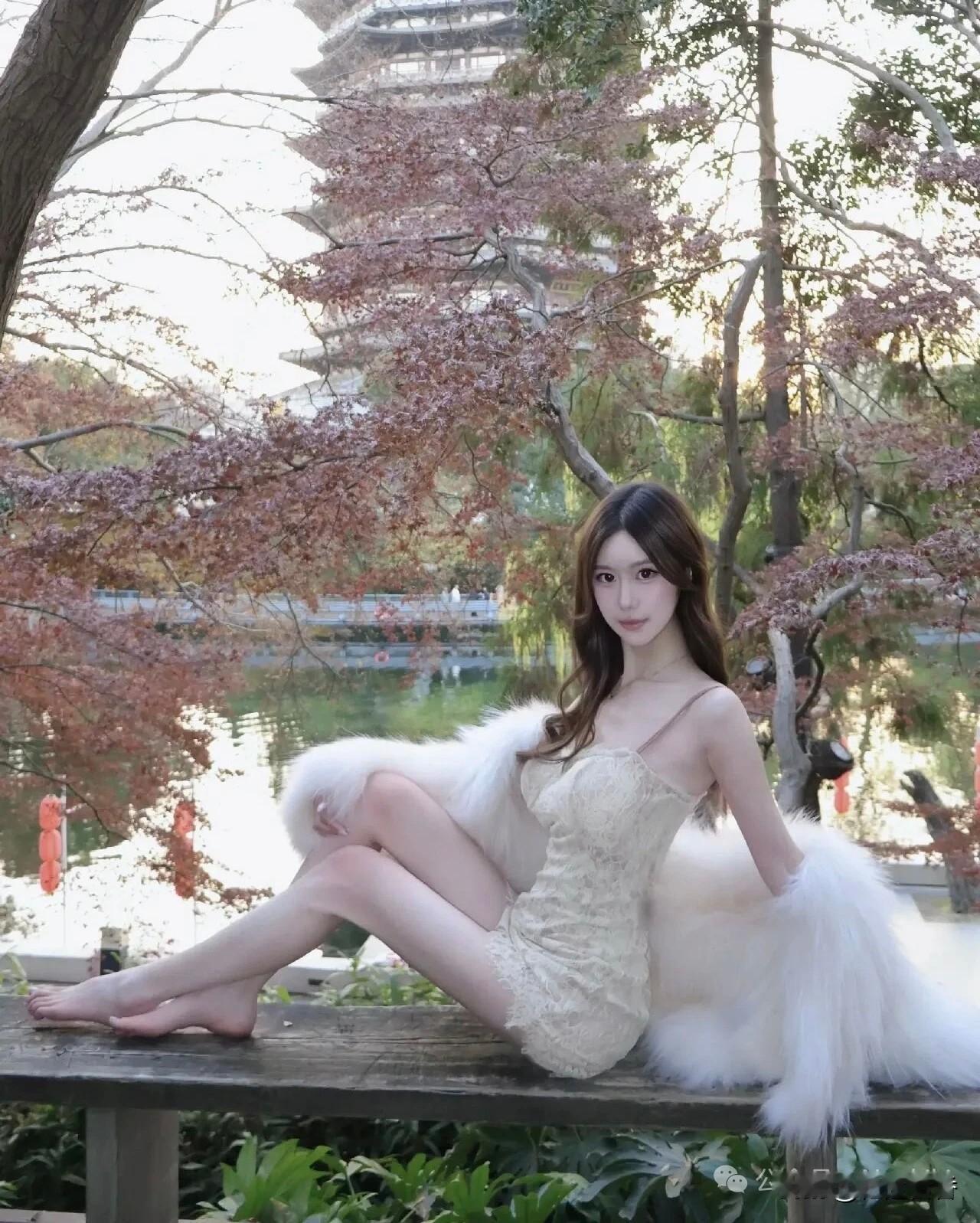 秋日暖阳下，白裙少女与白兔相伴，唯美如画。