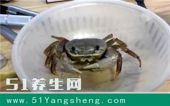 网友养螃蟹当宠物, 吃香蕉的样子太萌啦