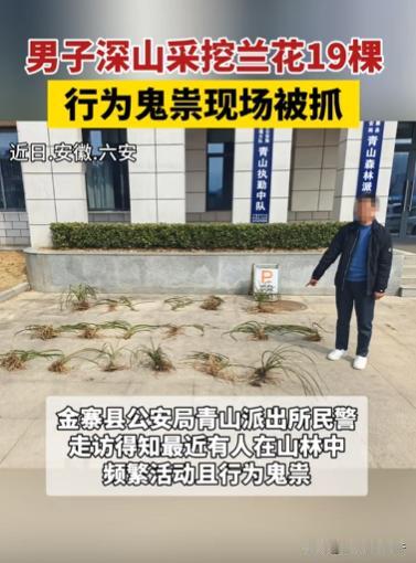 近日，安徽六安，一村民上山砍柴，连续几天都发现，有陌生男子在山林中鬼鬼祟祟的，他