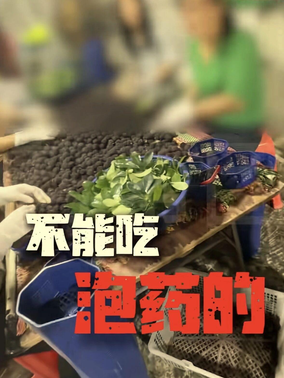 甜度是蔗糖的8000倍！没有生产日期！没有成分表！烂掉的杨梅往里一泡，虫子尸体