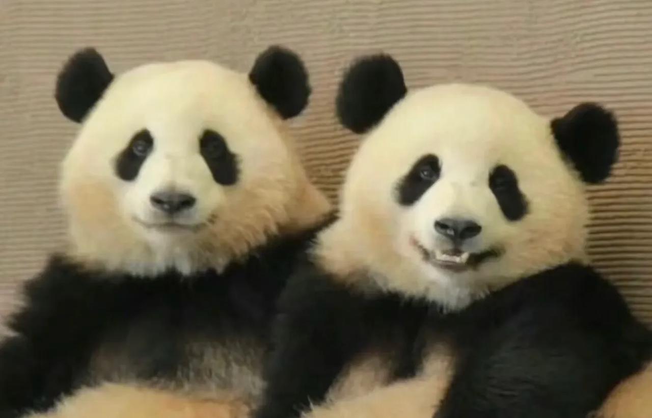 为什么现实中，很多善良的人得不到善报呢？古话说得好，善有善报，恶有恶报。但当