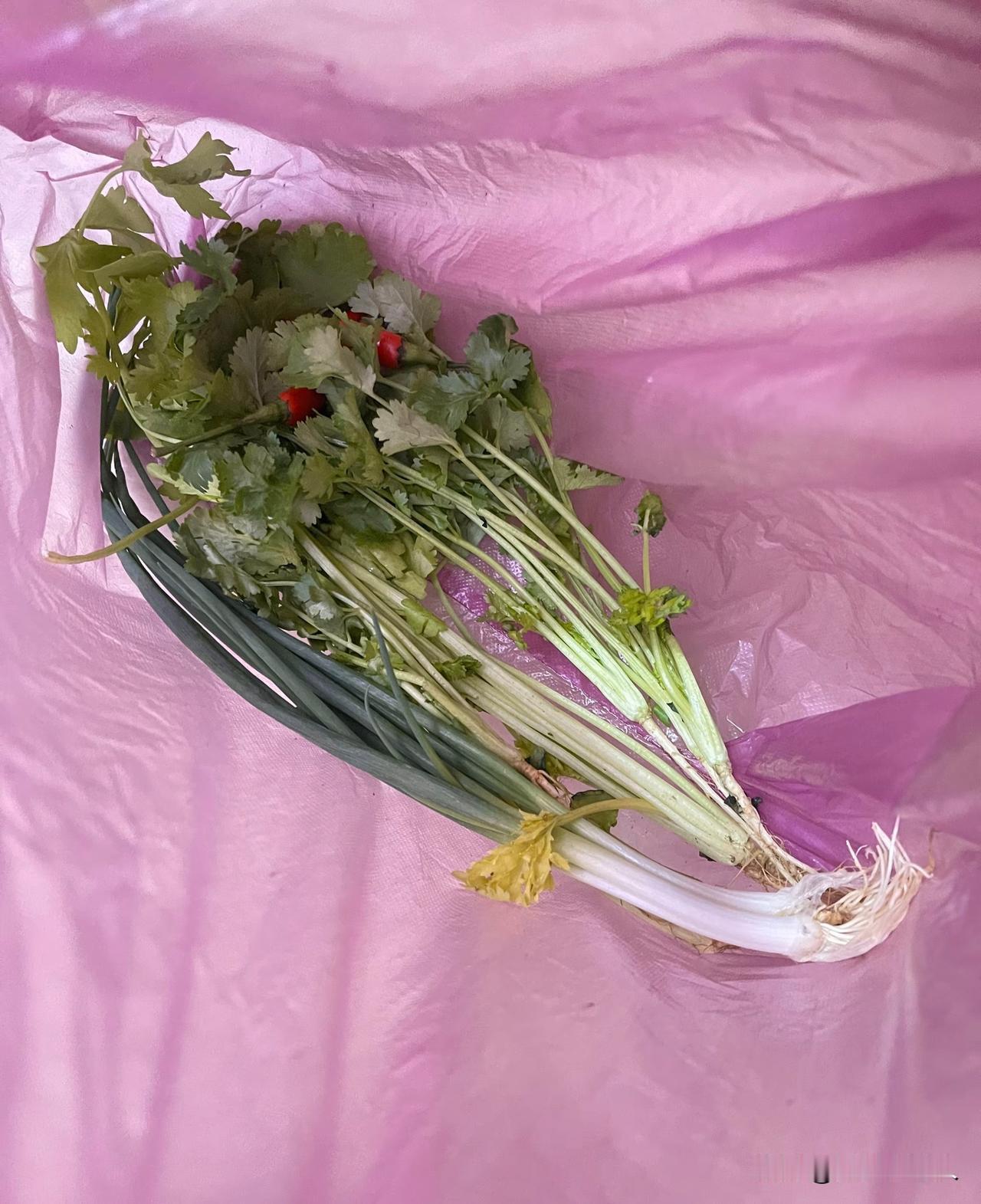 谁懂啊，摆摊一个老奶奶这点菜收了我十一块钱[无奈吐舌]我是看那个摊位是位上了年龄老