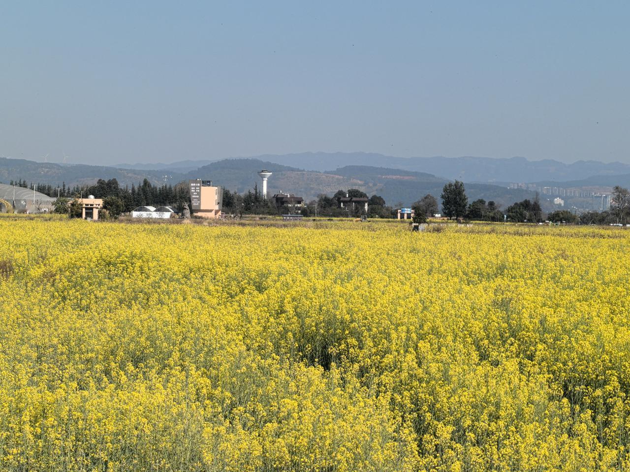 美国打伊朗是为了卖石油？最近老听到有人说，美国之所以要劳民伤财地去打伊朗，实际上