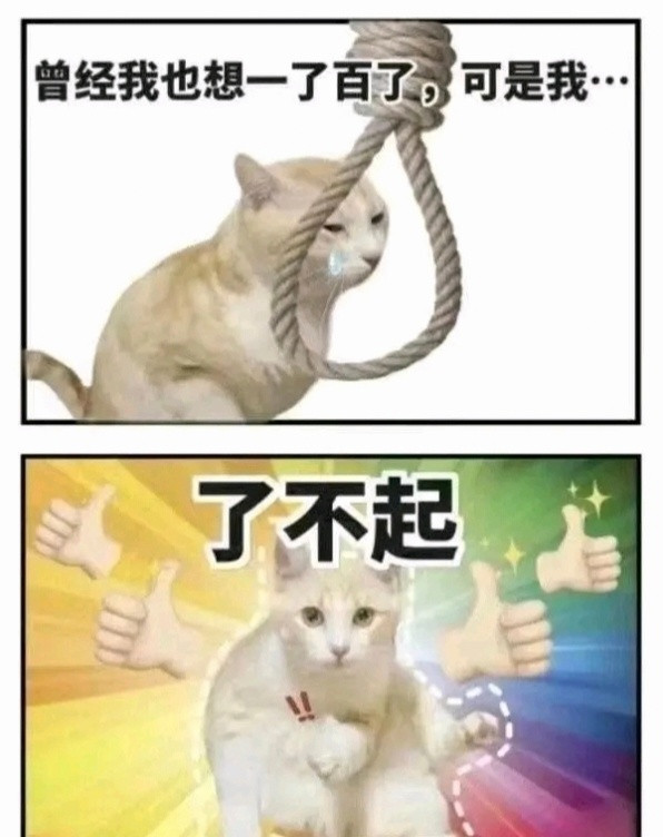 猫咪去世前一天用按钮和我告别从最保守的行为学角度看，猫咪可能是在极度不适或虚弱状