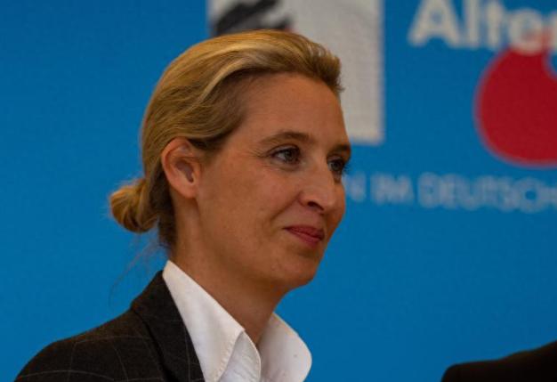 选择党领袖魏德尔一句“德国已开始倾斜、船舱不断进水，可船长还在装睡”直接炸翻德国