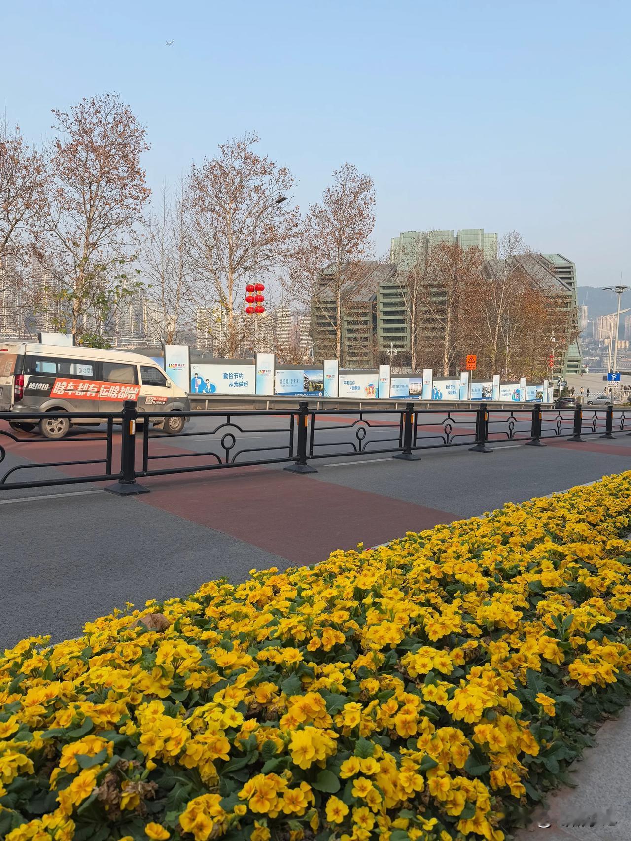 春天在重庆走“浪漫花路”，一步一景!从大剧院地铁站出来，往江北嘴江滩公园方向走去