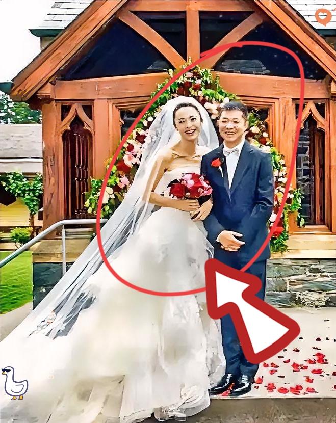 终于懂了！姚晨选在这个节点官宣离婚！背后藏着成年人的清醒与考量！声明里说两