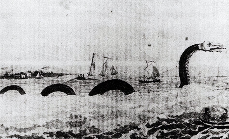 1851年，美国一艘捕鲸船，在南太平洋斩杀了一条30米长的蛇形巨兽，船长割下其头