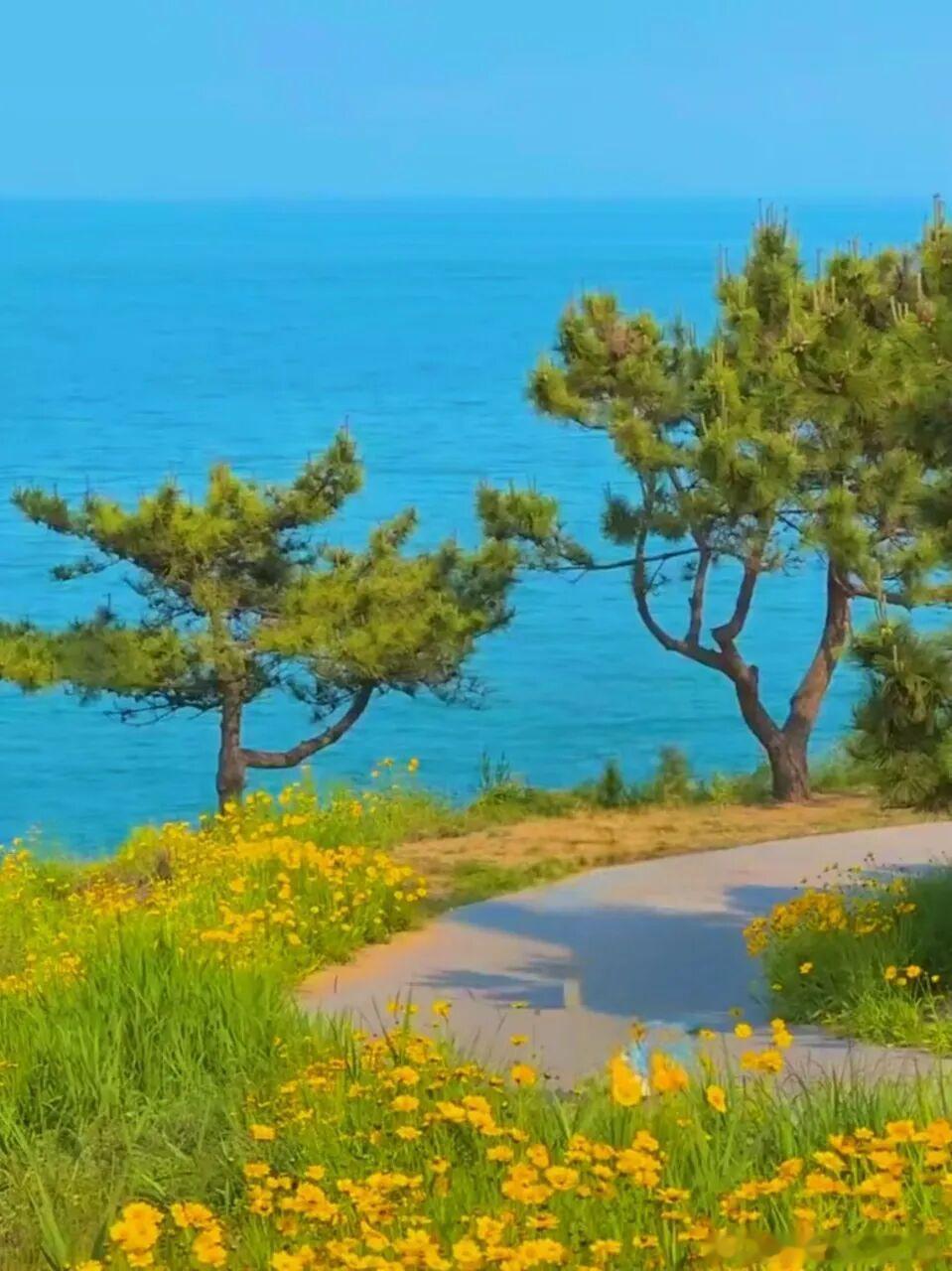 直到来到山东青岛黄岛西海岸，我才相信，世界上真的有“面朝大海，春暖花开”的地方。
