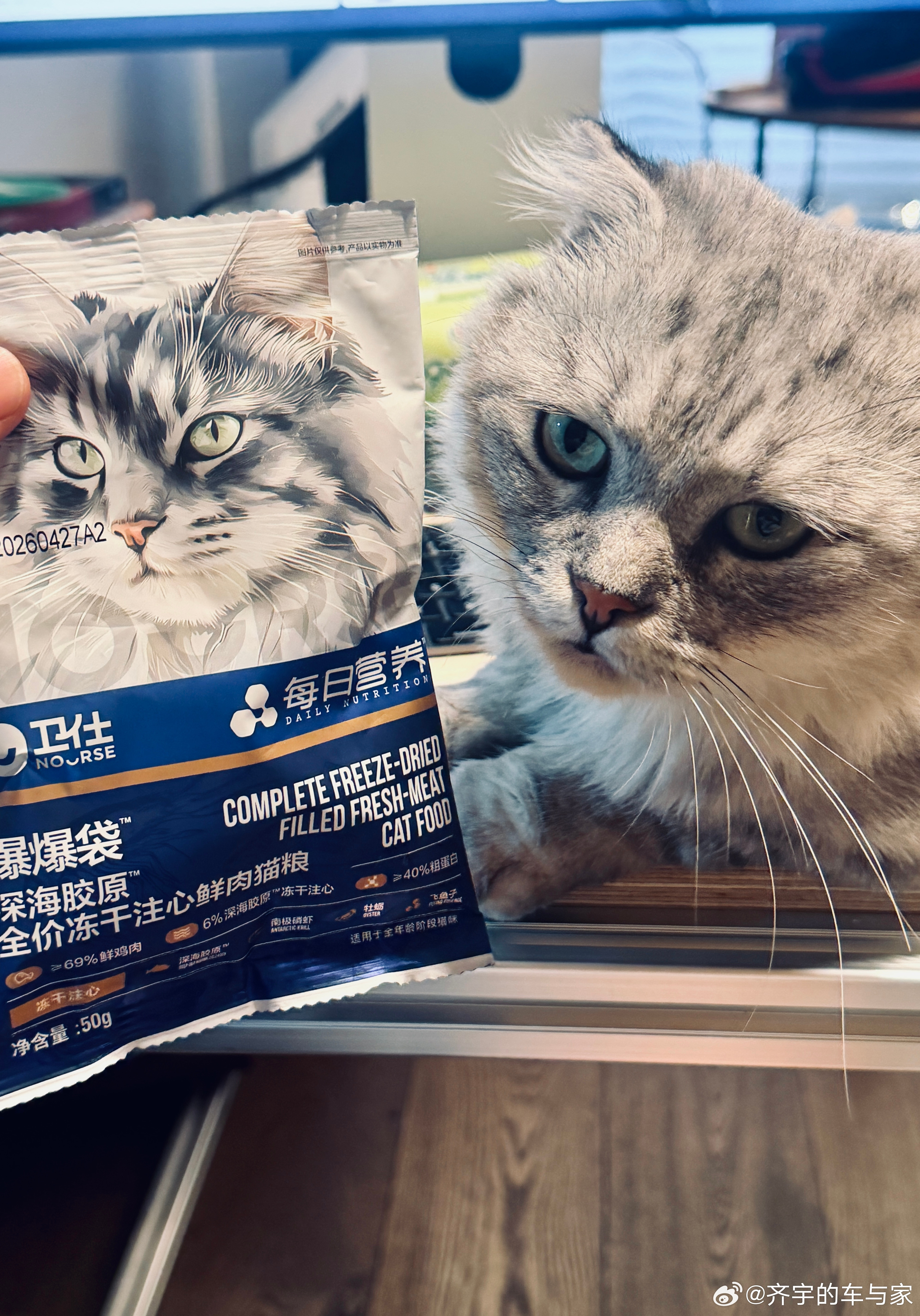 大家好，他叫小8，我的第八只流浪猫，认识一下喵星人​​​