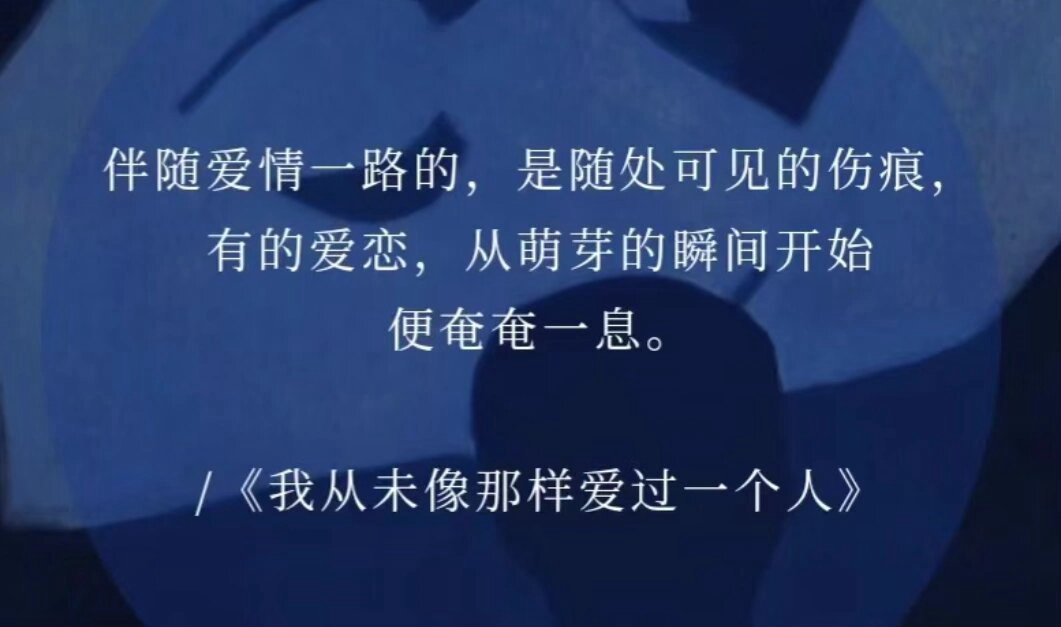 天呐！！！谁懂这些句子的含金量啊啊！！！