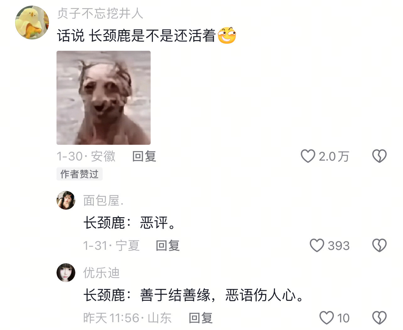 纯纯老吃家了也是