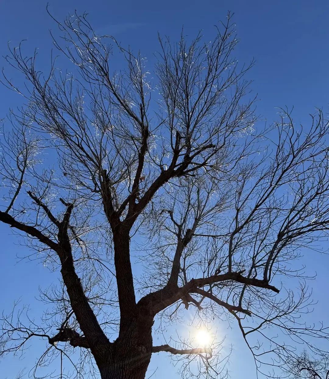 我那86岁的婆婆，退休金卡自己攥得死死的，存单在哪儿我们子女一概不知，总觉得我们