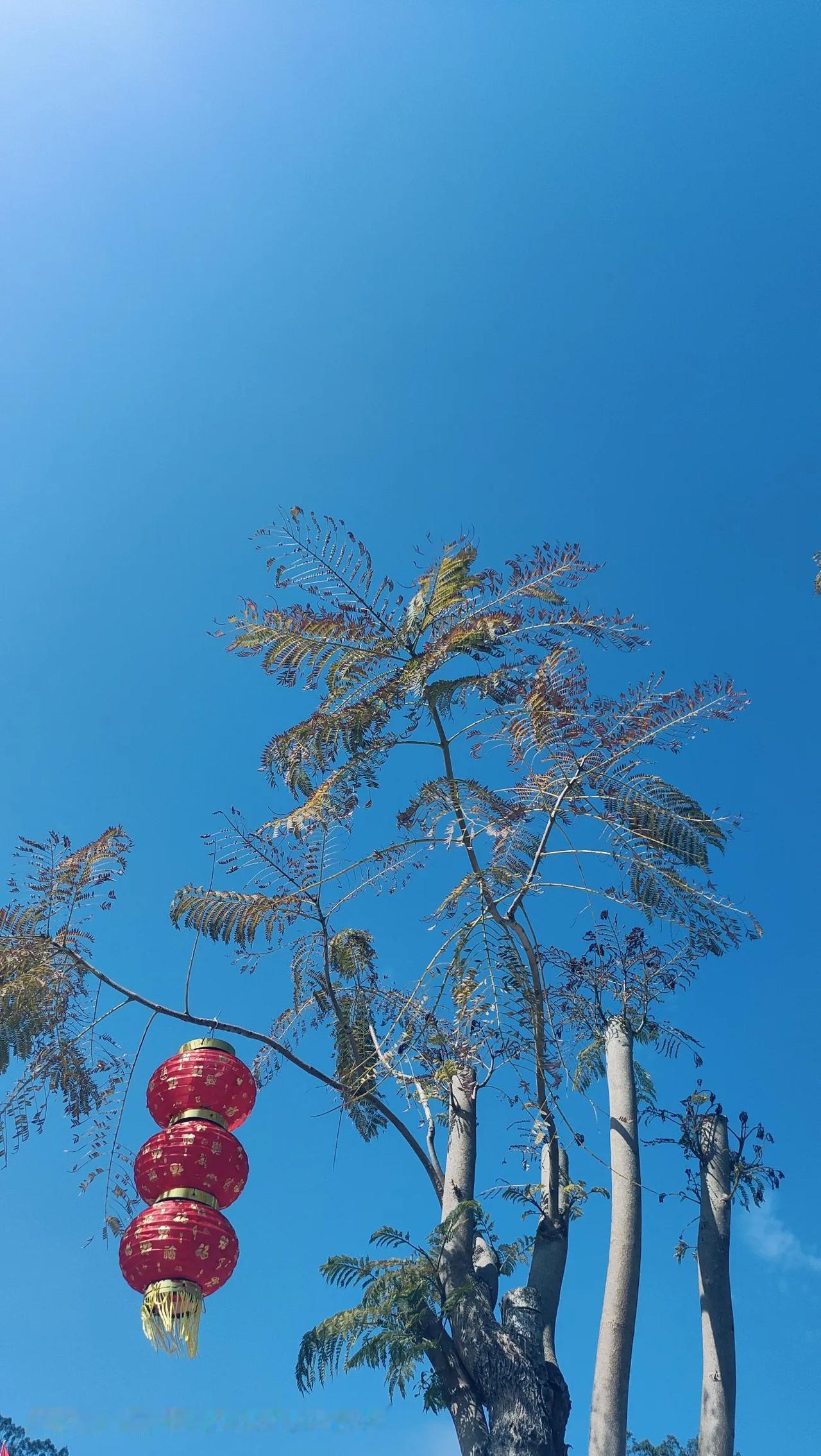 有家长投诉，也是教育的一种进步。第一，教育毕竟是面向全体家长的。有个别的家长