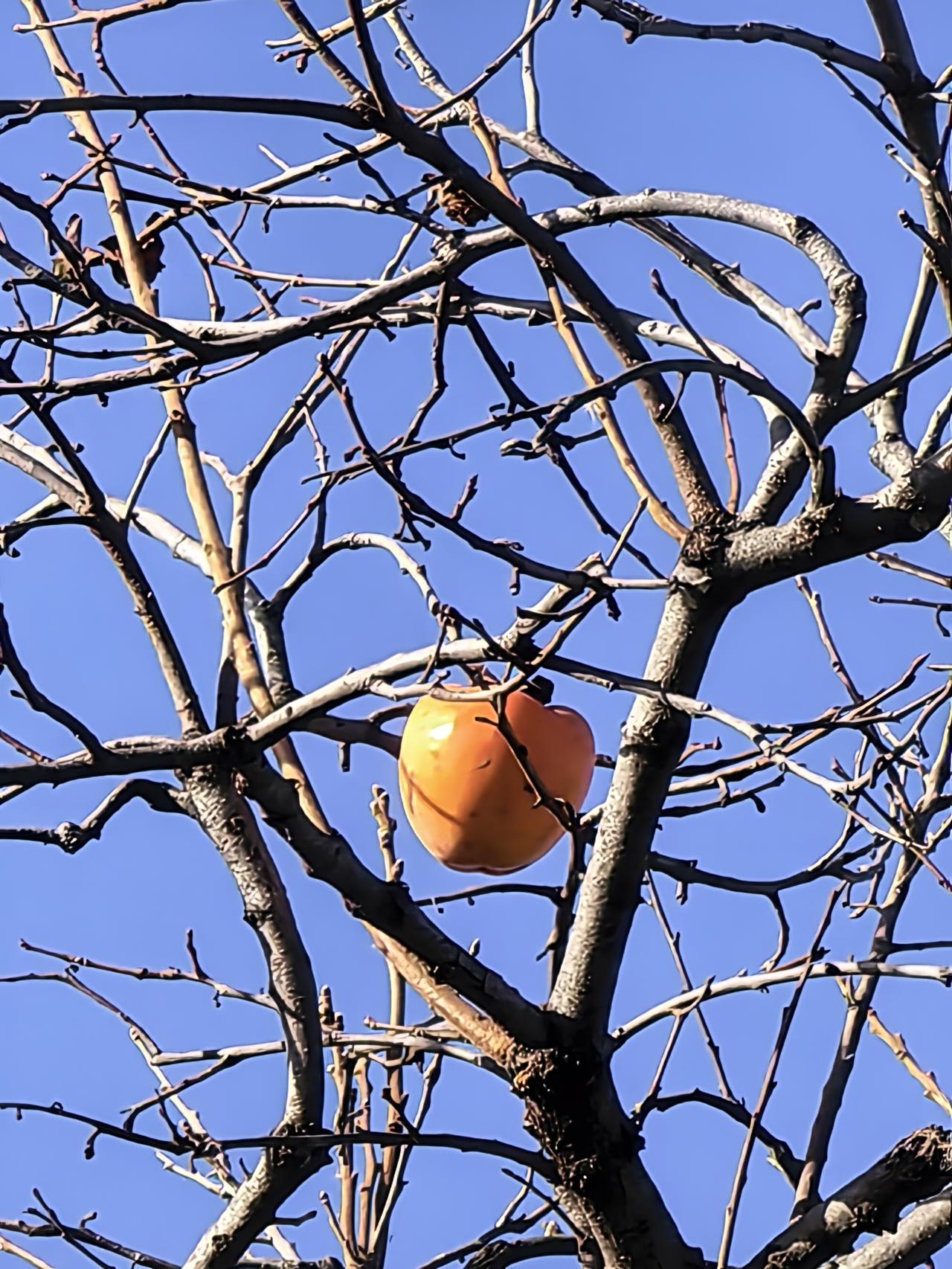 荷兰应该无条件恢复中国控制人的法定权益，是对话的唯一条件荷兰安世半导体反映：
