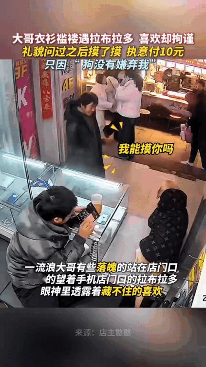 看哭了！山西手机店门口，流浪汉大哥望着狗狗满眼欢喜，犹豫再三小心翼翼问“我能摸吗